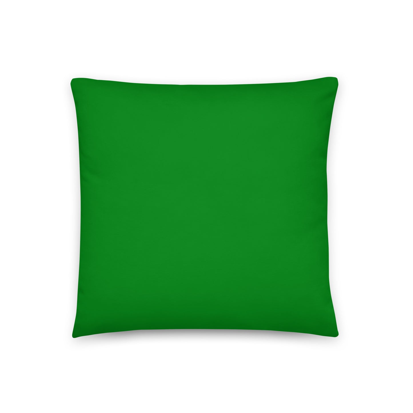 LGBTQ+ Pride Pillow Green