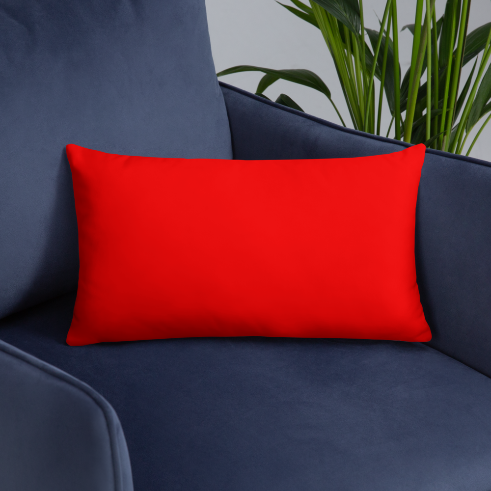 LGBTQ+ Pride Pillow Bundle 20"x12"